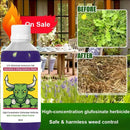 High Concentration Glufosinate Herbicide (Buy 1 Get 1 Free)