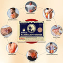 VedaRelief™ - Japanese Ayurvedic Pain Relief Patches