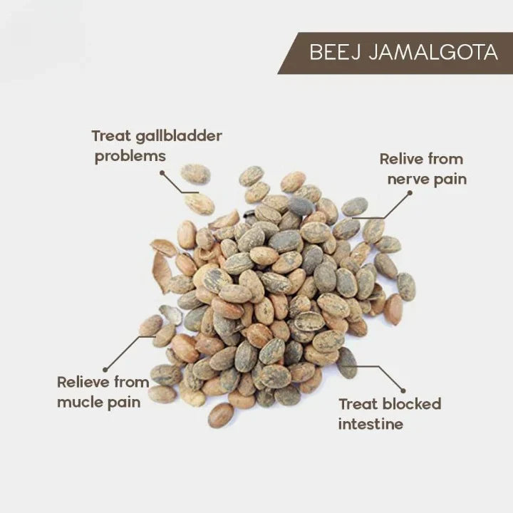 Jamalgota Ayurvedic Hair Growth Powder with Free Growth Spray