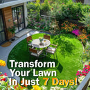 Organic Grass Seeds with Free Growth Serum