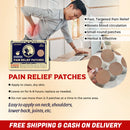 VedaRelief™ - Japanese Ayurvedic Pain Relief Patches