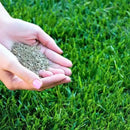 Organic Grass Seeds with Free Growth Serum