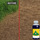 High Concentration Glufosinate Herbicide (Buy 1 Get 1 Free)