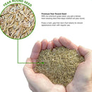 Organic Grass Seeds with Free Growth Serum