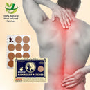 VedaRelief™ - Japanese Ayurvedic Pain Relief Patches