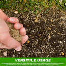 Organic Grass Seeds with Free Growth Serum