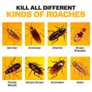 QuikCatch Roach Ace Bait Station (Buy Now - Limited Stock🔥🔥)